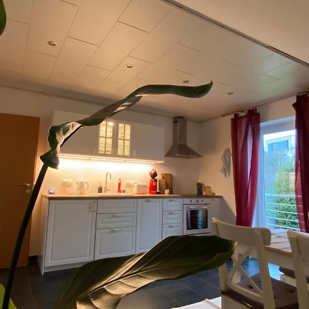 Moderne Ferienwohnung Seeblick Freudenberg  Exterior foto